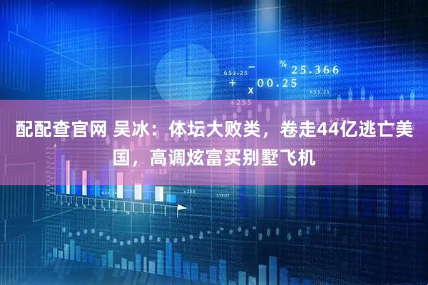 配配查官网 吴冰：体坛大败类，卷走44亿逃亡美国，高调炫富买别墅飞机