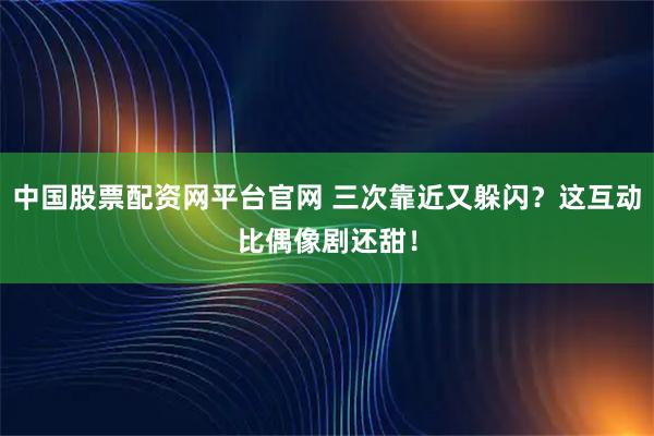 中国股票配资网平台官网 三次靠近又躲闪？这互动比偶像剧还甜！