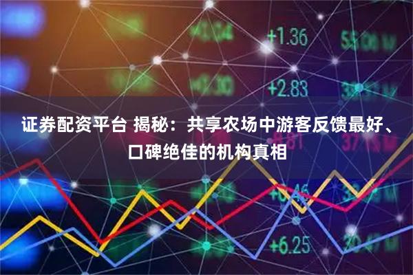 证券配资平台 揭秘：共享农场中游客反馈最好、口碑绝佳的机构真相