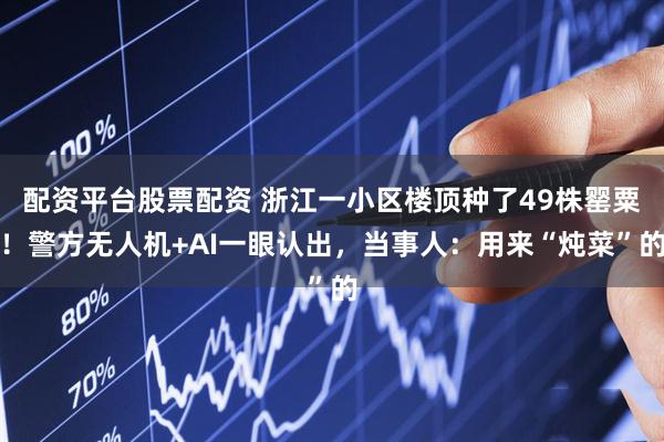 配资平台股票配资 浙江一小区楼顶种了49株罂粟！警方无人机+AI一眼认出，当事人：用来“炖菜”的