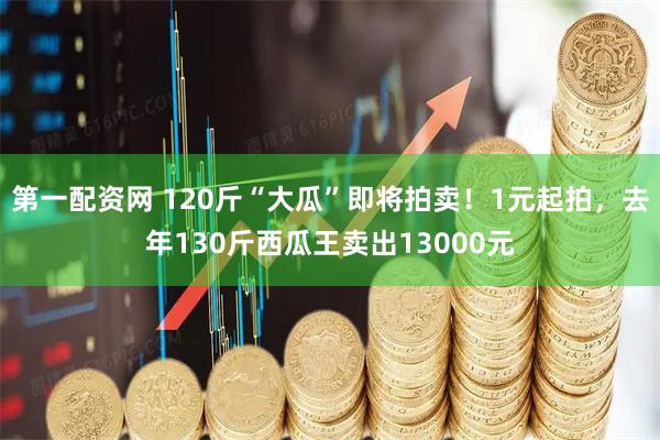 第一配资网 120斤“大瓜”即将拍卖！1元起拍，去年130斤西瓜王卖出13000元