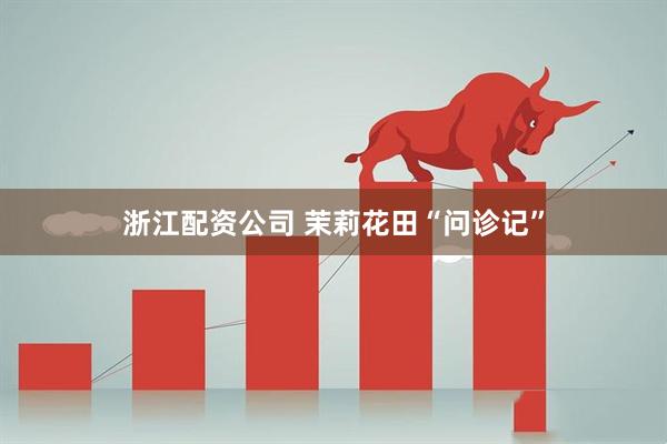 浙江配资公司 茉莉花田“问诊记”